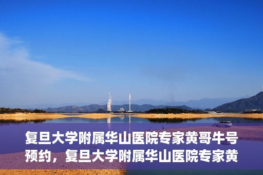 复旦大学附属华山医院专家黄哥牛号预约，复旦大学附属华山医院专家黄哥牛号预约攻略解析