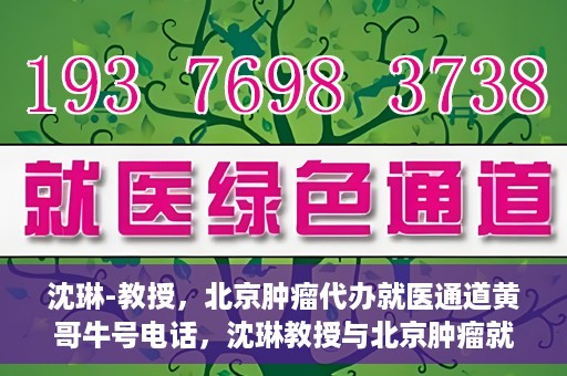 沈琳-教授，北京肿瘤代办就医通道黄哥牛号电话，沈琳教授与北京肿瘤就医通道，黄哥牛号电话背后的故事