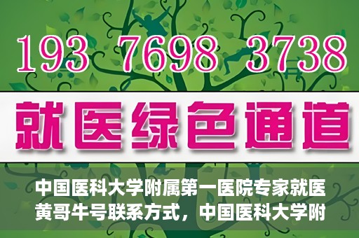 中国医科大学附属第一医院专家就医黄哥牛号联系方式，中国医科大学附属第一医院专家黄哥牛号联系方式及就医指南