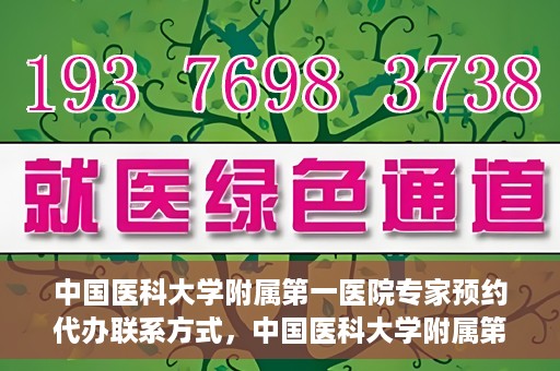 中国医科大学附属第一医院专家预约代办联系方式，中国医科大学附属第一医院专家预约挂号代办服务联系方式解析