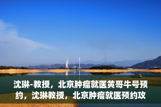 沈琳-教授，北京肿瘤就医黄哥牛号预约，沈琳教授，北京肿瘤就医预约攻略——黄哥牛号解读