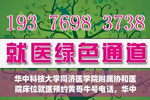 华中科技大学同济医学院附属协和医院床位就医预约黄哥牛号电话，华中科技大学同济医学院附属协和医院床位预约热线及黄哥牛号电话揭秘