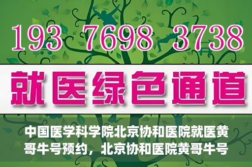 中国医学科学院北京协和医院就医黄哥牛号预约，北京协和医院黄哥牛号预约攻略，就医指南与医学权威体验