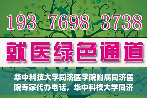 华中科技大学同济医学院附属同济医院专家代办电话，华中科技大学同济医学院附属同济医院专家预约电话服务解析