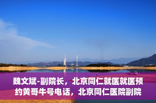 魏文斌-副院长，北京同仁就医就医预约黄哥牛号电话，北京同仁医院副院长魏文斌，就医预约背后的故事与黄哥牛号电话揭秘