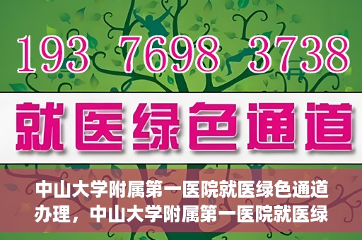 中山大学附属第一医院就医绿色通道办理，中山大学附属第一医院就医绿色通道办理详解，一站式解决您的就医难题