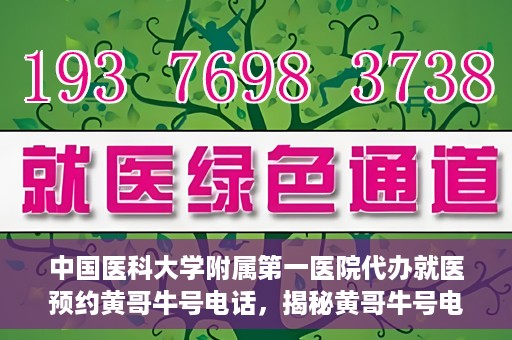 中国医科大学附属第一医院代办就医预约黄哥牛号电话，揭秘黄哥牛号电话，中国医科大学附属第一医院预约就医代办服务详解