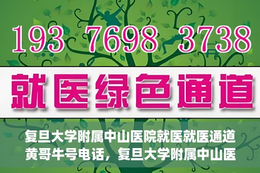 复旦大学附属中山医院就医就医通道黄哥牛号电话，复旦大学附属中山医院就医通道解析，黄哥牛号电话详解与就医指南