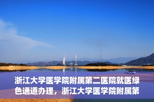浙江大学医学院附属第二医院就医绿色通道办理，浙江大学医学院附属第二医院就医绿色通道办理详解与指南