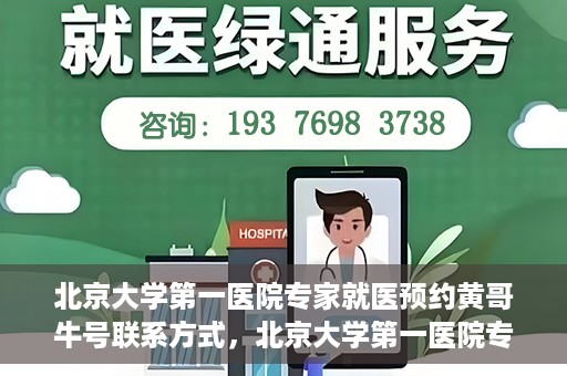 北京大学第一医院专家就医预约黄哥牛号联系方式，北京大学第一医院专家就医预约指南，黄哥牛号联系方式全解析