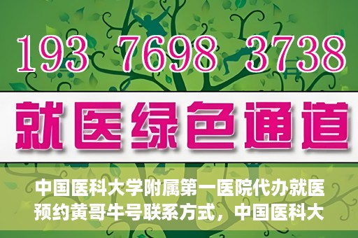 中国医科大学附属第一医院代办就医预约黄哥牛号联系方式，中国医科大学附属第一医院预约就医代办服务，黄哥牛号联系方式及预约指南