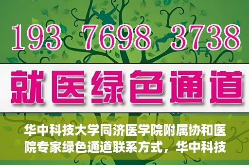 华中科技大学同济医学院附属协和医院专家绿色通道联系方式，华中科技大学同济医学院附属协和医院专家绿色通道联系方式及咨询指南