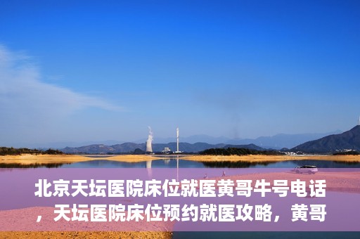 北京天坛医院床位就医黄哥牛号电话，天坛医院床位预约就医攻略，黄哥牛号电话全解析