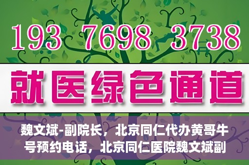 魏文斌-副院长，北京同仁代办黄哥牛号预约电话，北京同仁医院魏文斌副院长，黄哥牛号预约电话解读与代办服务解析