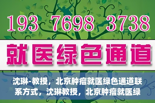 沈琳-教授，北京肿瘤就医绿色通道联系方式，沈琳教授，北京肿瘤就医绿色通道的联系通道及其实用指南