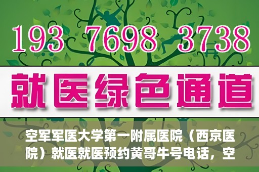 空军军医大学第一附属医院（西京医院）就医就医预约黄哥牛号电话，空军军医大学第一附属医院（西京医院）就医预约指南及黄哥牛号电话咨询热线