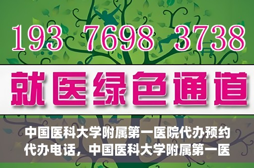 中国医科大学附属第一医院代办预约代办电话，中国医科大学附属第一医院预约代办服务热线详解