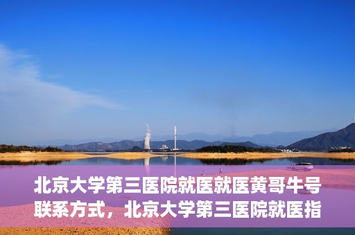 北京大学第三医院就医就医黄哥牛号联系方式，北京大学第三医院就医指南，黄哥牛号联系方式揭秘