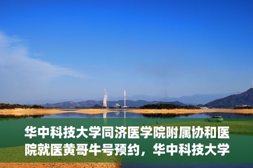 华中科技大学同济医学院附属协和医院就医黄哥牛号预约，华中科技大学同济医学院附属协和医院就医黄哥牛号预约攻略解析