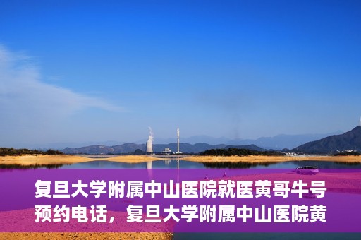 复旦大学附属中山医院就医黄哥牛号预约电话，复旦大学附属中山医院黄哥牛号预约电话详解，就医挂号新攻略