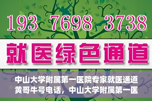 中山大学附属第一医院专家就医通道黄哥牛号电话，中山大学附属第一医院专家就医通道热线，黄哥牛号电话解读与预约攻略