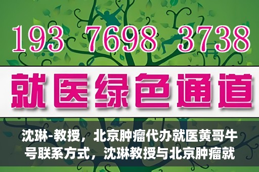 沈琳-教授，北京肿瘤代办就医黄哥牛号联系方式，沈琳教授与北京肿瘤就医黄哥牛号，联系方式揭秘