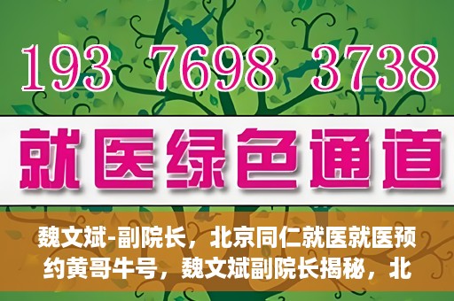 魏文斌-副院长，北京同仁就医就医预约黄哥牛号，魏文斌副院长揭秘，北京同仁医院就医预约的黄哥牛号攻略