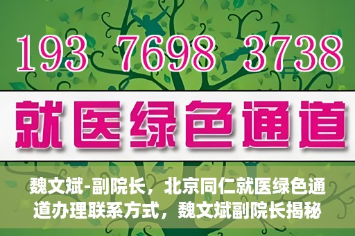 魏文斌-副院长，北京同仁就医绿色通道办理联系方式，魏文斌副院长揭秘，北京同仁就医绿色通道办理攻略与联系方式