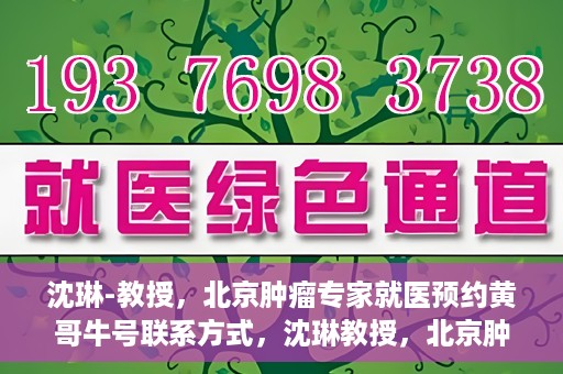 沈琳-教授，北京肿瘤专家就医预约黄哥牛号联系方式，沈琳教授，北京肿瘤专家预约攻略及黄哥牛号联系方式揭秘