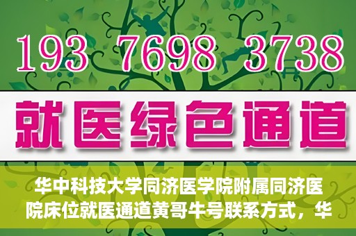 华中科技大学同济医学院附属同济医院床位就医通道黄哥牛号联系方式，华中科技大学同济医院床位就医通道，黄哥牛号联系方式揭秘