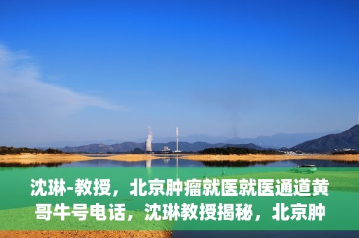 沈琳-教授，北京肿瘤就医就医通道黄哥牛号电话，沈琳教授揭秘，北京肿瘤就医通道牛号电话与就医攻略