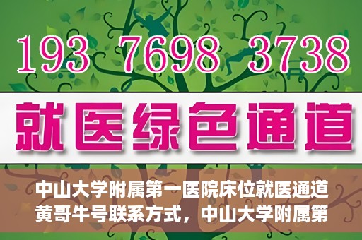 中山大学附属第一医院床位就医通道黄哥牛号联系方式，中山大学附属第一医院床位就医通道，黄哥牛号联系方式全解析