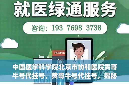 中国医学科学院北京市协和医院黄哥牛号代挂号，黄哥牛号代挂号，揭秘中国医学科学院北京市协和医院挂号背后的故事