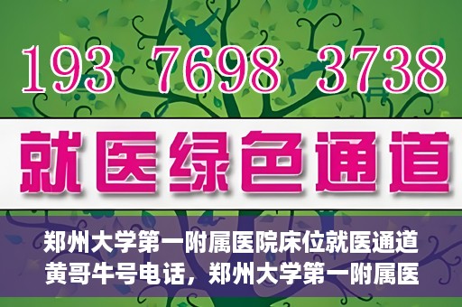 郑州大学第一附属医院床位就医通道黄哥牛号电话，郑州大学第一附属医院床位就医通道，黄哥牛号电话背后的就医故事探索