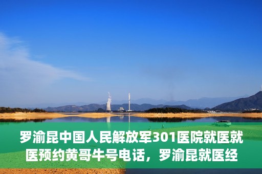 罗渝昆中国人民解放军301医院就医就医预约黄哥牛号电话，罗渝昆就医经历揭秘，中国人民解放军301医院预约背后的故事与黄哥牛号电话曝光
