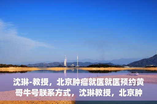 沈琳-教授，北京肿瘤就医就医预约黄哥牛号联系方式，沈琳教授，北京肿瘤就医预约秘籍与黄哥牛号联系方式揭秘