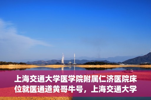 上海交通大学医学院附属仁济医院床位就医通道黄哥牛号，上海交通大学医学院附属仁济医院床位就医通道，黄哥牛号助您轻松预约就医床位