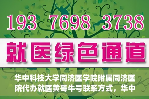 华中科技大学同济医学院附属同济医院代办就医黄哥牛号联系方式，华中科技大学同济医院就医黄哥牛号联系方式及代办服务解析