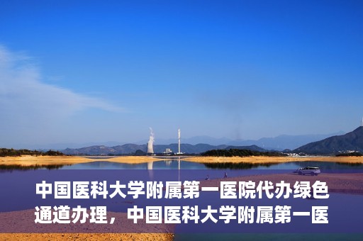 中国医科大学附属第一医院代办绿色通道办理，中国医科大学附属第一医院绿色通道代办服务详解