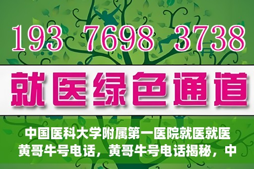 中国医科大学附属第一医院就医就医黄哥牛号电话，黄哥牛号电话揭秘，中国医科大学附属第一医院就医指南与就医体验分享