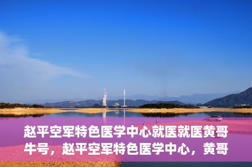 赵平空军特色医学中心就医就医黄哥牛号，赵平空军特色医学中心，黄哥牛号的就医传奇