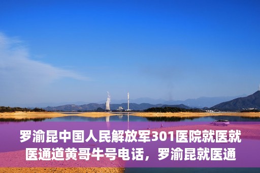 罗渝昆中国人民解放军301医院就医就医通道黄哥牛号电话，罗渝昆就医通道揭秘，中国人民解放军301医院黄哥牛号电话的背后故事