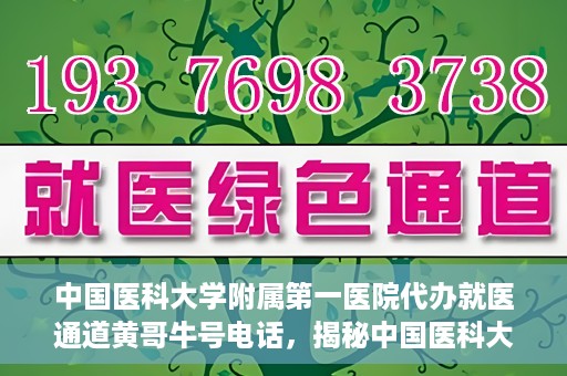 中国医科大学附属第一医院代办就医通道黄哥牛号电话，揭秘中国医科大学附属第一医院就医通道代办服务，黄哥牛号电话全解析
