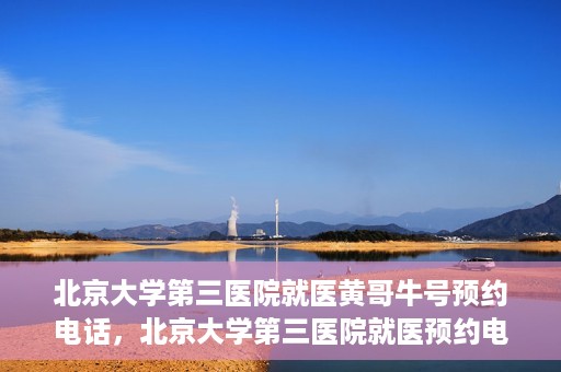 北京大学第三医院就医黄哥牛号预约电话，北京大学第三医院就医预约电话及黄哥牛号预约攻略