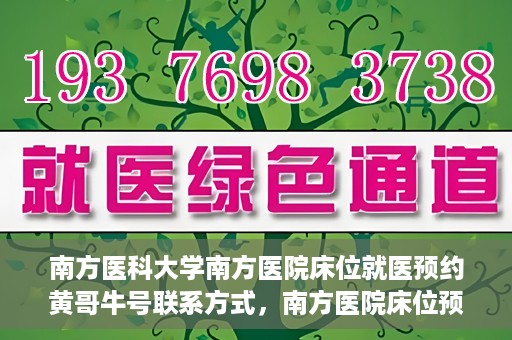 南方医科大学南方医院床位就医预约黄哥牛号联系方式，南方医院床位预约指南，黄哥牛号联系方式揭秘