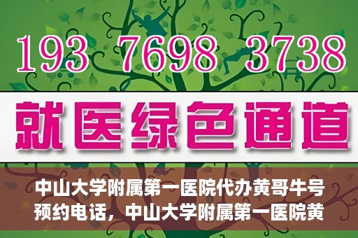中山大学附属第一医院代办黄哥牛号预约电话，中山大学附属第一医院黄哥牛号预约电话代办服务解析