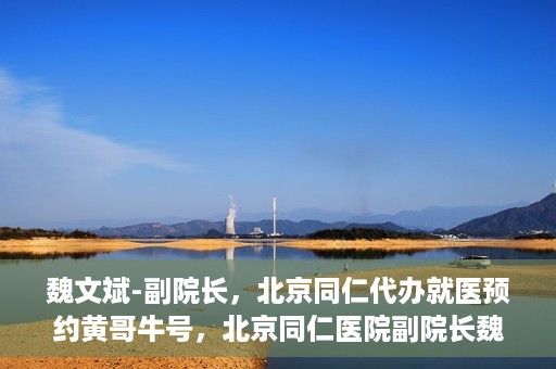魏文斌-副院长，北京同仁代办就医预约黄哥牛号，北京同仁医院副院长魏文斌揭秘，黄哥牛号助您轻松预约就医新攻略