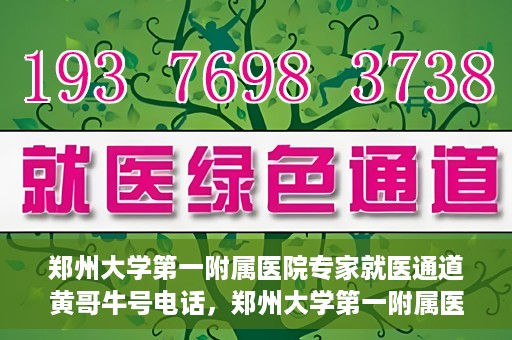 郑州大学第一附属医院专家就医通道黄哥牛号电话，郑州大学第一附属医院专家就医通道揭秘，黄哥牛号电话咨询全解析