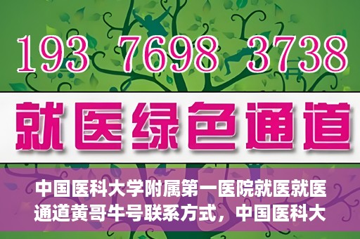 中国医科大学附属第一医院就医就医通道黄哥牛号联系方式，中国医科大学附属第一医院就医通道，黄哥牛号联系方式全解析