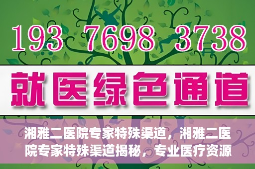 湘雅二医院专家特殊渠道，湘雅二医院专家特殊渠道揭秘，专业医疗资源的独特通道探索